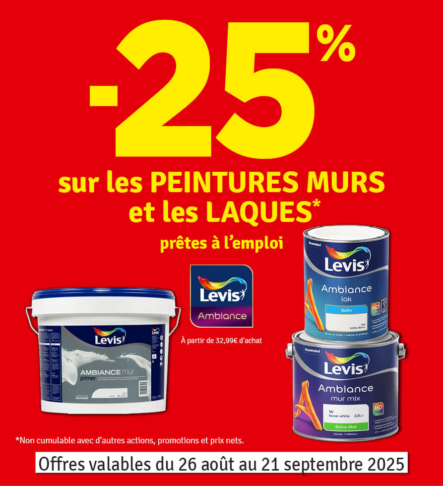 25 % sur les peintures et les laques Ambiance LEVIS